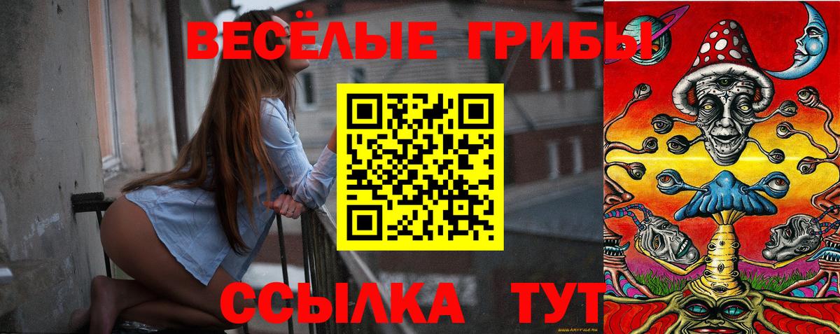 Псилоцибиновые грибы Magic Shrooms Калининград