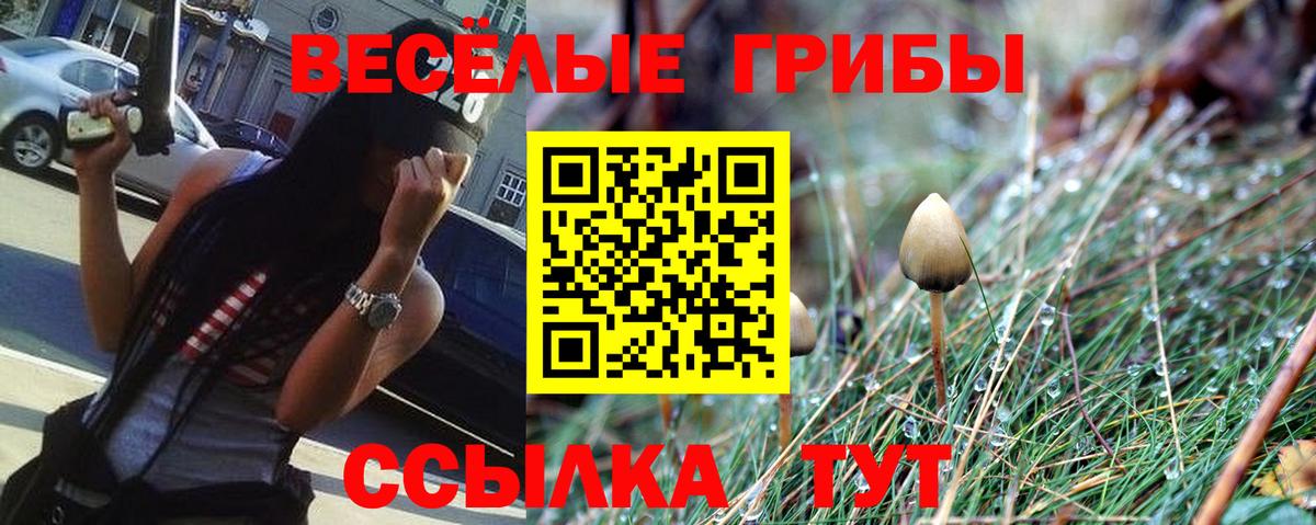 МАРИХУАНА Калининград