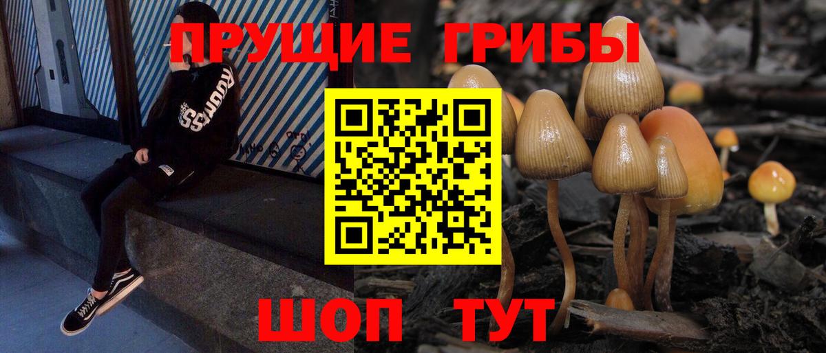 Калининград  Галлюциногенные грибы GOLDEN TEACHER  Псилоцибиновые грибы MAGIC MUSHROOMS  Вход с VPN 